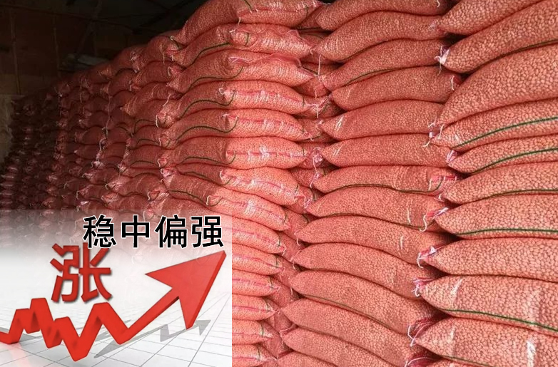 花生價(jià)格持續偏強，需要訂貨的請提前安排