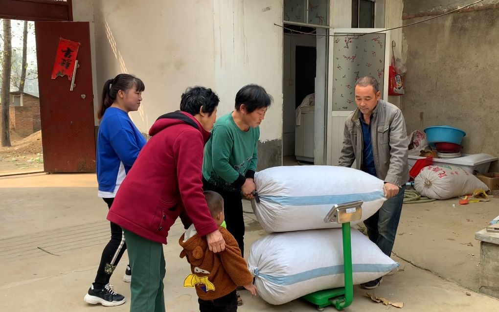 花生行情繼續上漲破6時(shí)代馬上到來(lái)